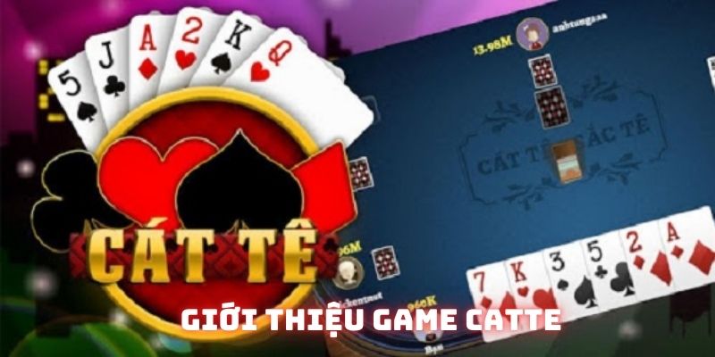 Tìm hiểu khái quát về Catte để xem có nên đánh hay không