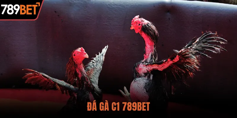 đá gà c1 789bet